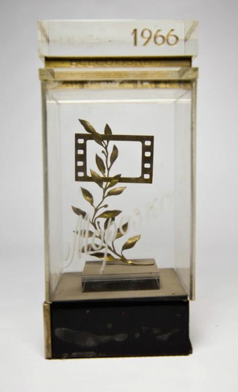 Приз ВКФ в Киеве в номинации "Лучший фильм для детей и юношества" (1966 г.)