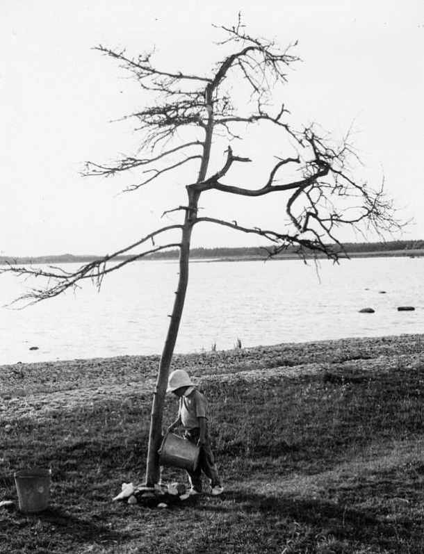 Рекламный материал. Томми Чельквист в роли Малыша