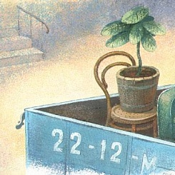 Фикус в кадке в кузове грузовика