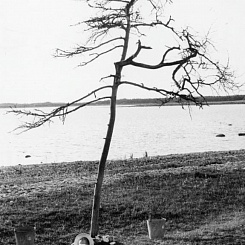 Рекламный материал. Томми Чельквист в роли Малыша