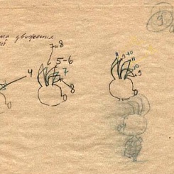 Движения ушей Пятачка