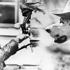 Рабочий момент съемок фильма