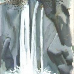 Водопад. Дикие пчелы