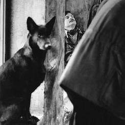 Рабочий момент съемок. Режиссер А.Тарковский