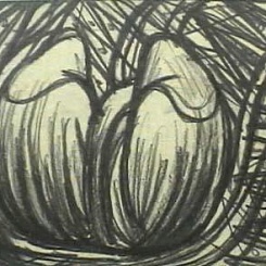 Лебединая охота