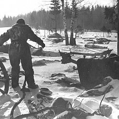 Рекламные кадры