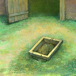 Корыто на траве