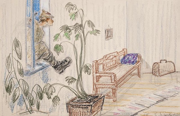 Дом Верещагина. Окно