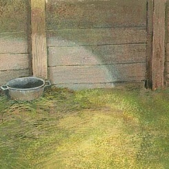 Шайка у забора