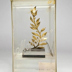 Приз ВКФ в Киеве в номинации "Лучший фильм для детей и юношества" (1966 г.)